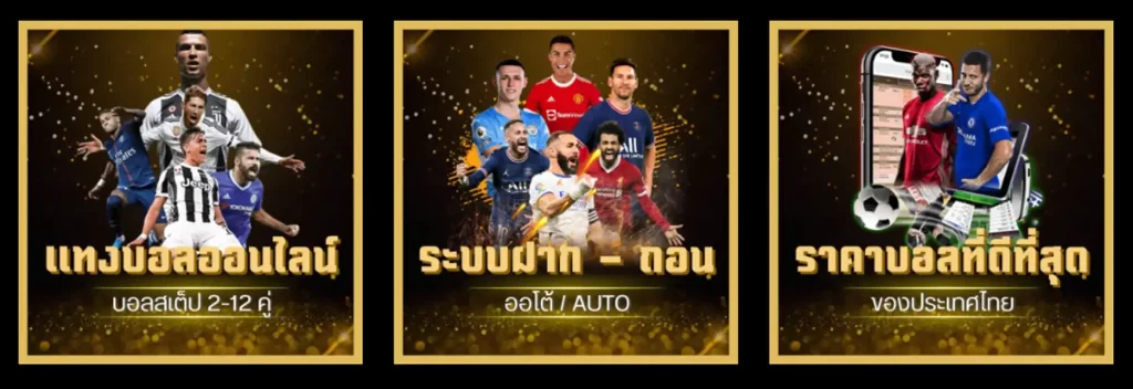 เลือกเว็บไซต์ดี